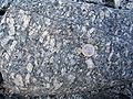 Large phenocrysts in a granite. Most likely they form by recrystallisation when the intrusion cools