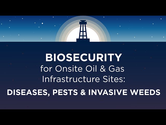 Biosecurity for Onsite Oil and Gas Infrastructure Sites | TOP Energy Training