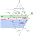 My version of the classification of plutonic rocks (Dutch). Simplified it by using colours