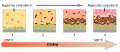 Diagram explaining fractional crystallisation